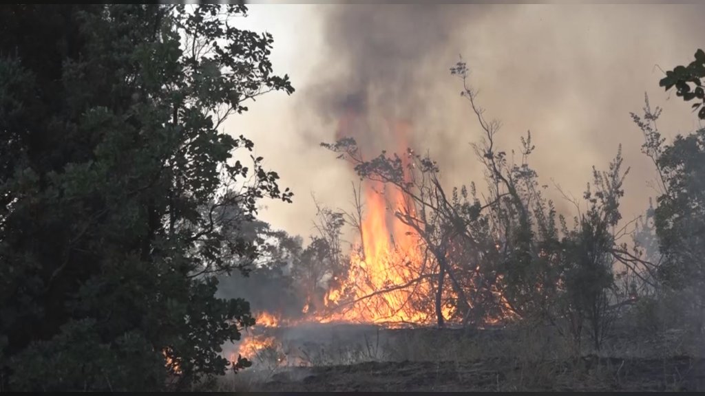 Vatra stigla do Šumarka: Velika borba sa požarom u Deliblatskoj peščari, evakuisan Čardak