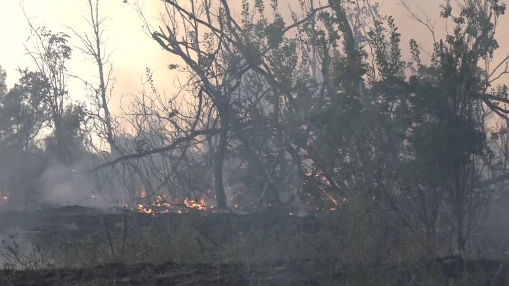 Šumarak i Dubovac bez struje zbog požara - ekipe rade na uspostavljanju snabdevanja