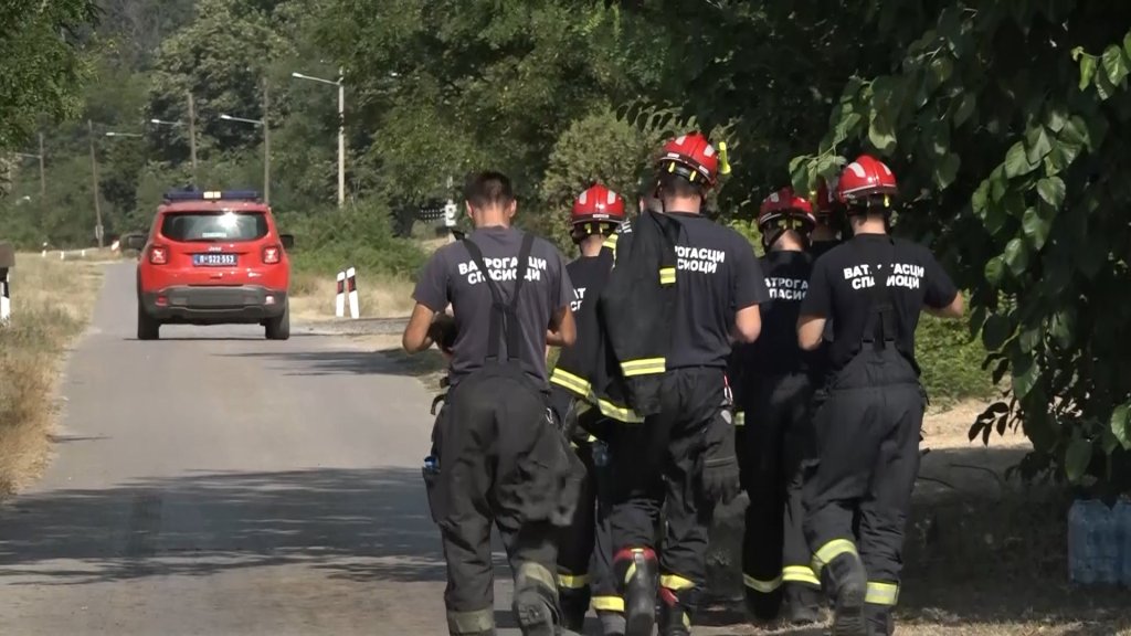 Naziv: Požar u Deliblatskoj peščari i dalje aktivan