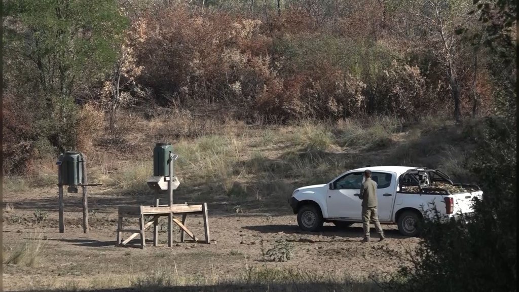 JP "Vojvodinašume" pojačano vodi brigu o diviljim životinjama