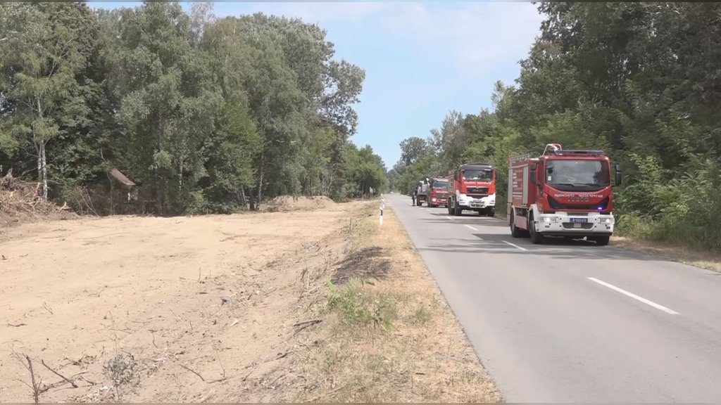 Požar pred gašenjem: Situacija u Deliblatskoj peščari stabilna