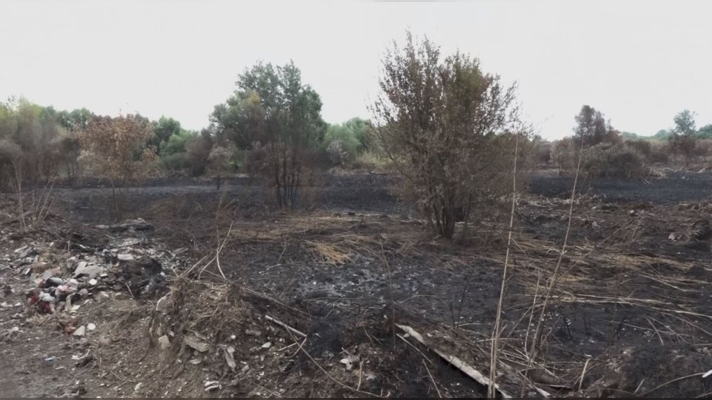 Ugašen požar u blizini naselja Mali rit kod Pančeva