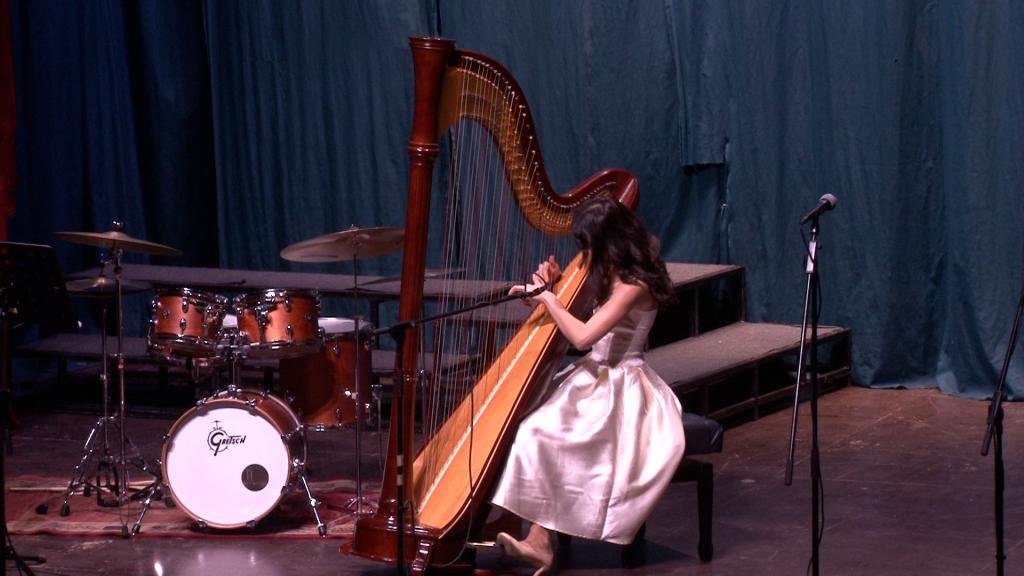 Donatorski koncert muzičke škole „Josif Marinković“