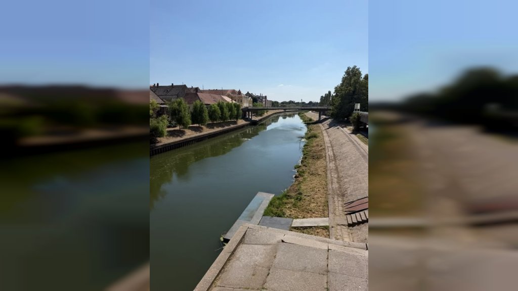 Zatvoren za saobraćaj deo ulice Vojvode Petra Bojovića