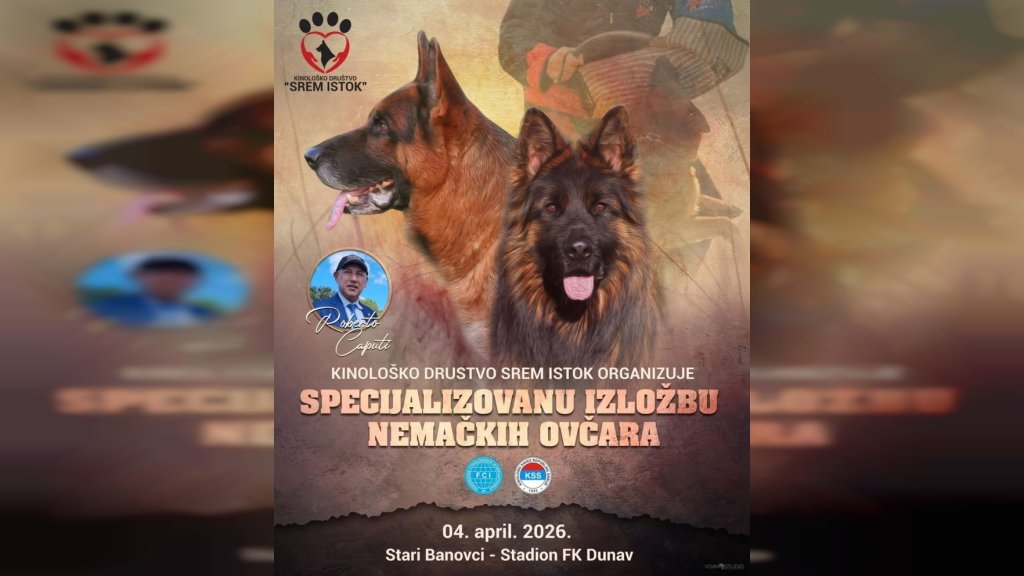 Izložba nemačkih ovčara u Starim Banovcima