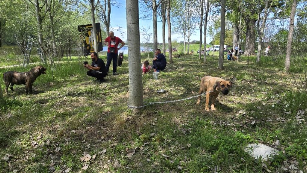 Druženje odgajivača Srpskog odbrambenog psa