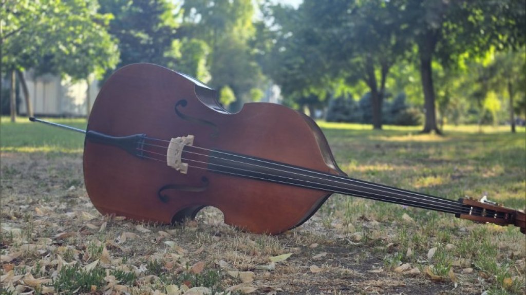 Svetski dan muzike u Staroj Pazovi: Koncerti na otvorenom na tri lokacije