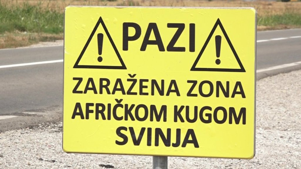 U Krnješevcima proglašeno zaraženo i ugroženo područje zbog afričke kuge svinja