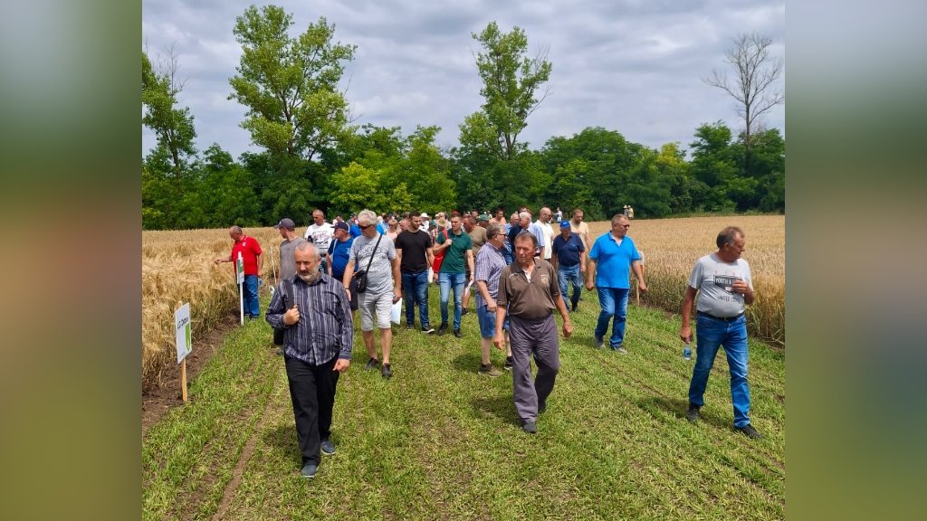 U ATARU NENADIĆA ODRŽAN „DAN POLjA STRNIH ŽITA I OGLEDA IZ ZAŠTITE BILjA"