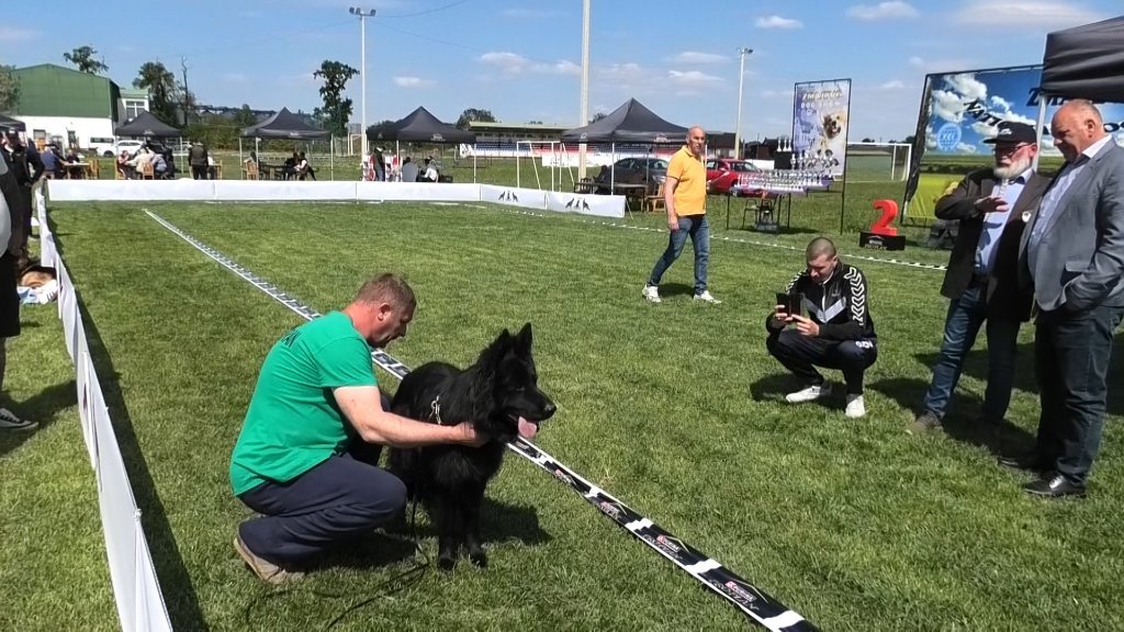 U Zmajevu održana Nacionalna izložba pasa