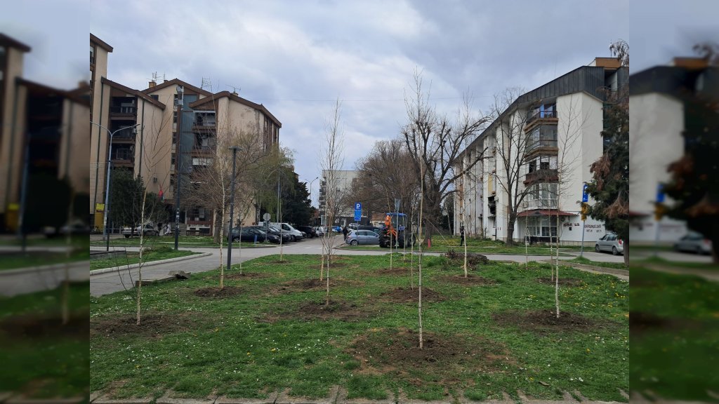Počela sadnja sadnica u centru grada - apel građanima da čuvaju zelenilo