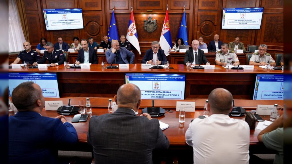 Država pooštrava borbu protiv afričke kuge svinja: Pojačane kontrole i oštre kazne za neodgovorne