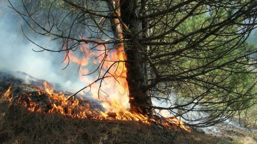 Zaštitimo šume od požara - odgovornost svih nas