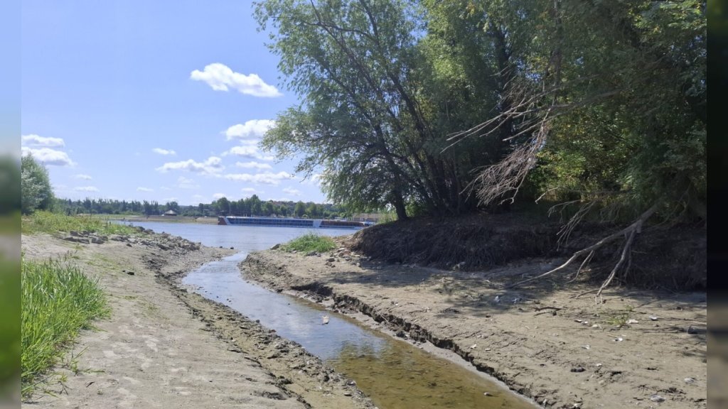 Dunav i narednih 50 dana sa niskim vodostajem: U toku mere za nesmetanu plovidbu
