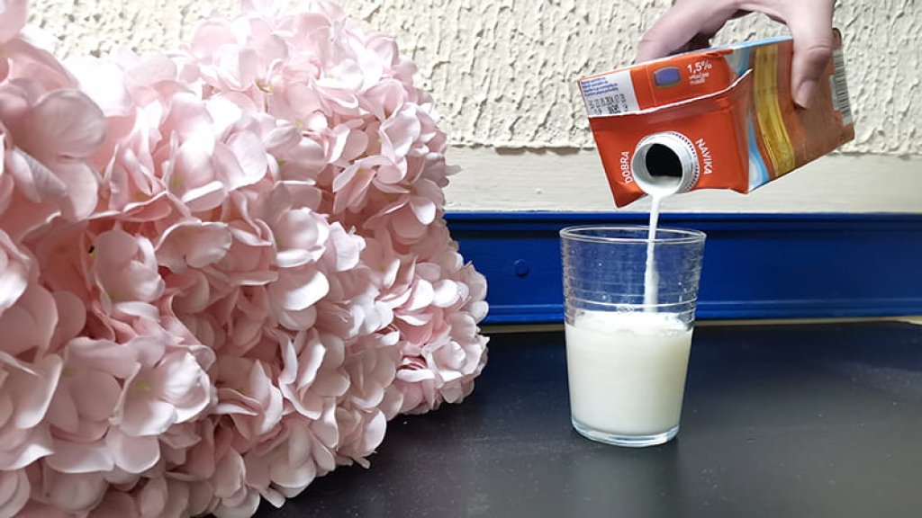 Poljoprivrednici mogu podneti zahteve za premiju za mleko do 14. avgusta
