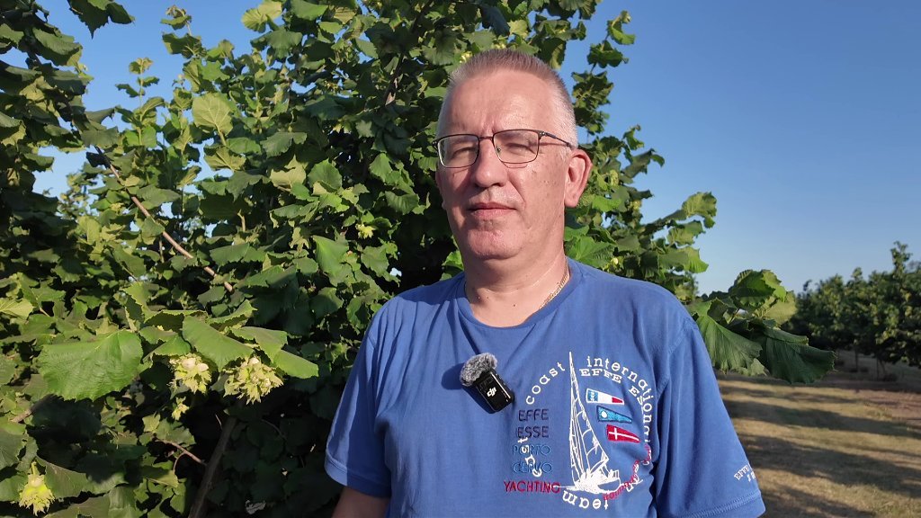 Braća Moldovanov iz Bečeja posvetila se proizvodnji lešnika