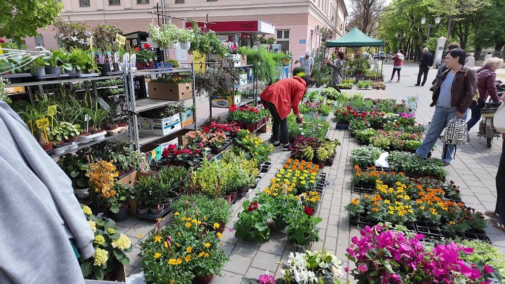 Mirisi i boje proleća u srcu Bečeja