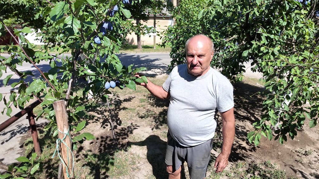 Sava Gospođinački nadomak osme decenije uživa u plodovima rada i volje