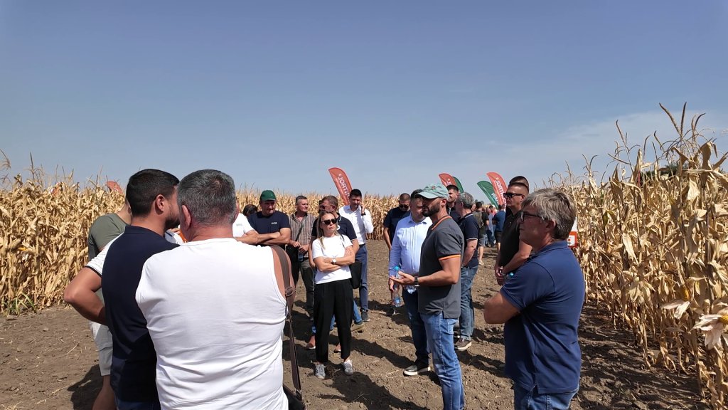 Dan polja KWS u Bečeju: Suša najveći izazov, stabilnost hibrida ključ opstanka