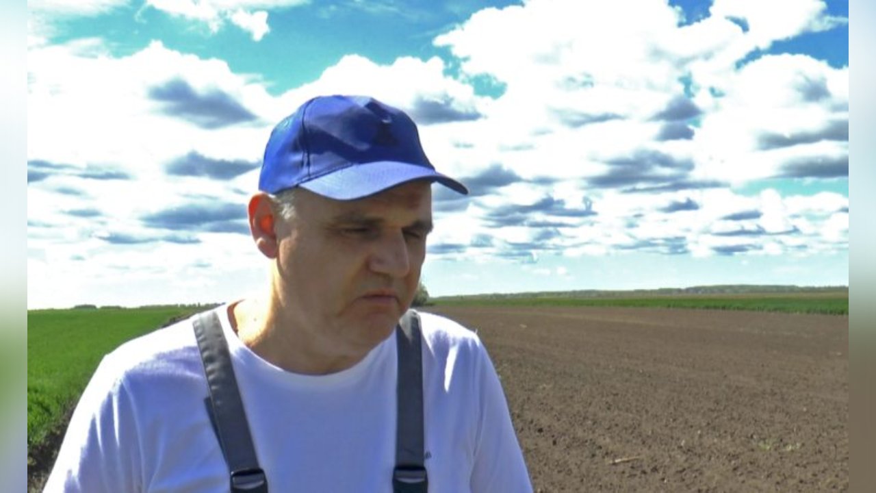 Setva kukuruza u novokneževačkom ataru teče neometanim tempom