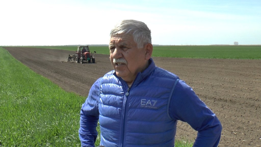Počela setva začinske paprike u novokneževačkom ataru