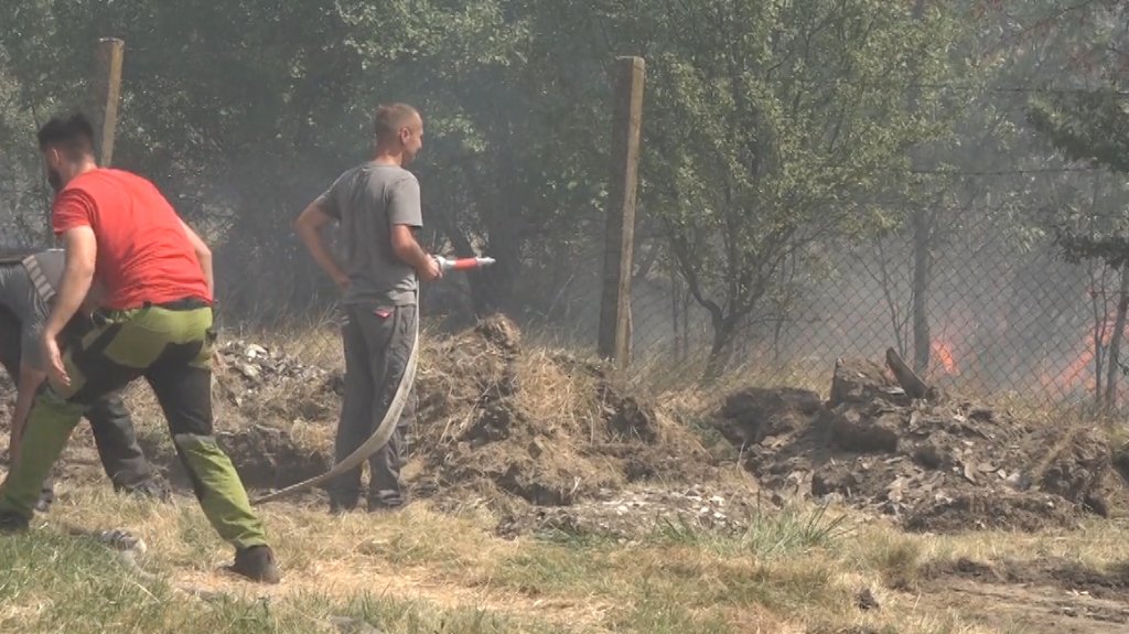 Vatrogasci, DVD, policija, poljočuvarska služba, JKP “7. oktobar” i firma “Login Eko” uspešno sanirali požar
