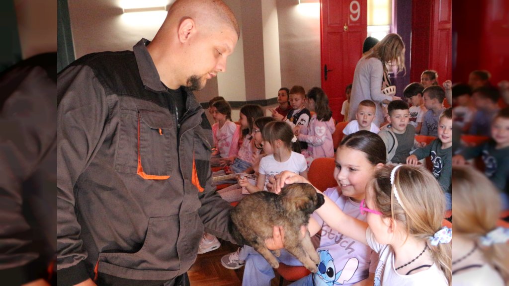 Odgovoran i human odnos prema životinjama JP ,,Kikinda”