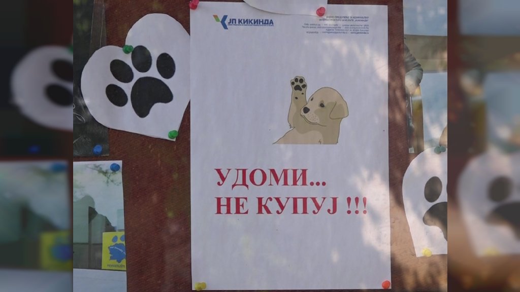 Dan otvorenih vrata u Prihvatilištu za pse