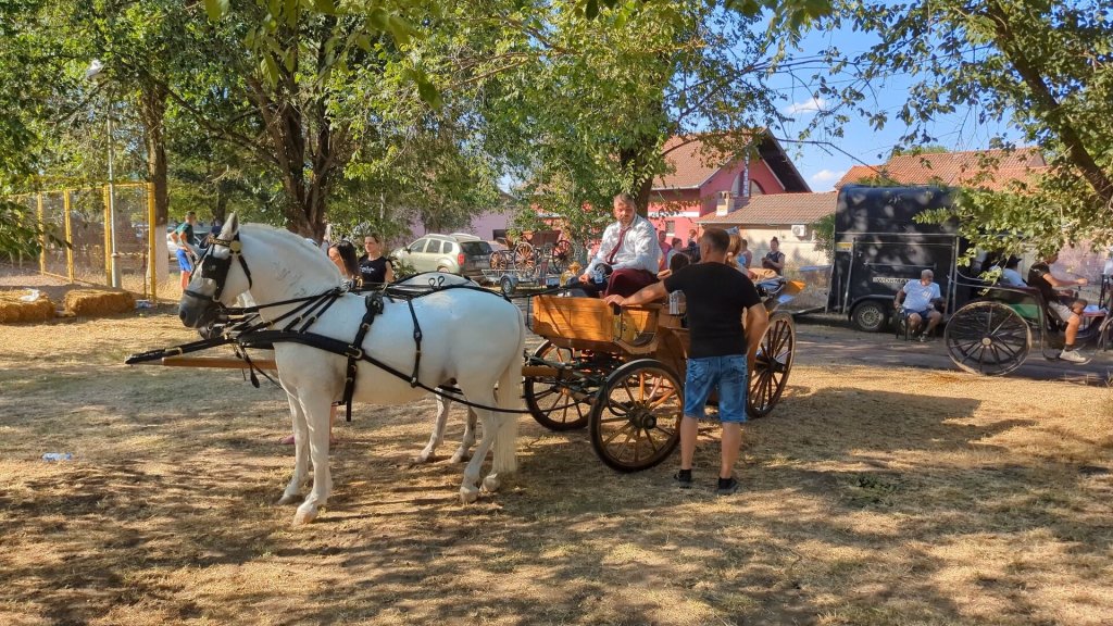 Uprkos izazovima, jubilarna 10. Fijakerijada okupila ljubitelje konjarstva u Novim Kozarcima