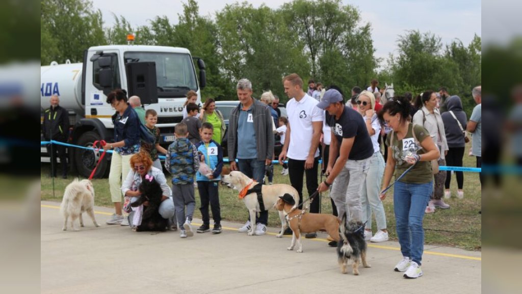 Treća izložba pasa mešanca „Stray dog show” održaće se u subotu 5. septembra
