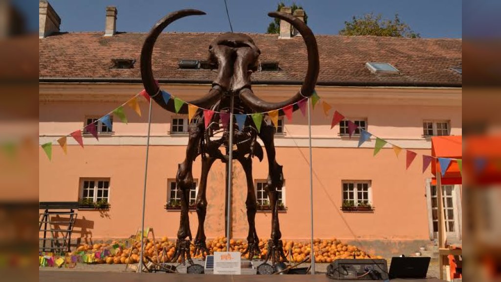 Mamutfest ove godine u znaku tri decenije od pronalaska Kike