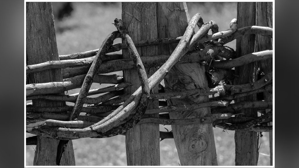 Izložba fotografija „Šapat kolja” (29. april)