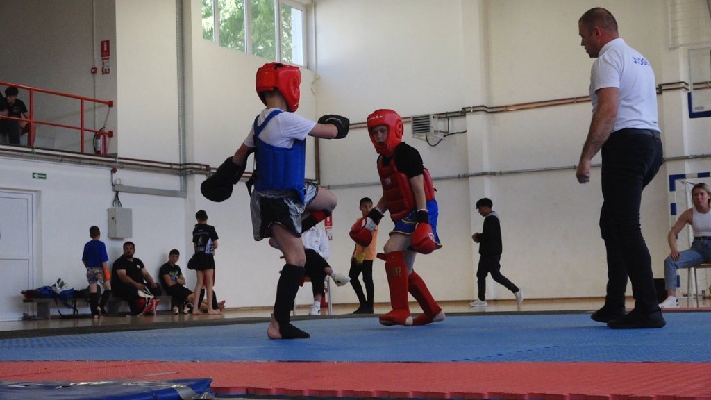 Sanda turnir u Bočaru okupio oko 80 mladih sportista