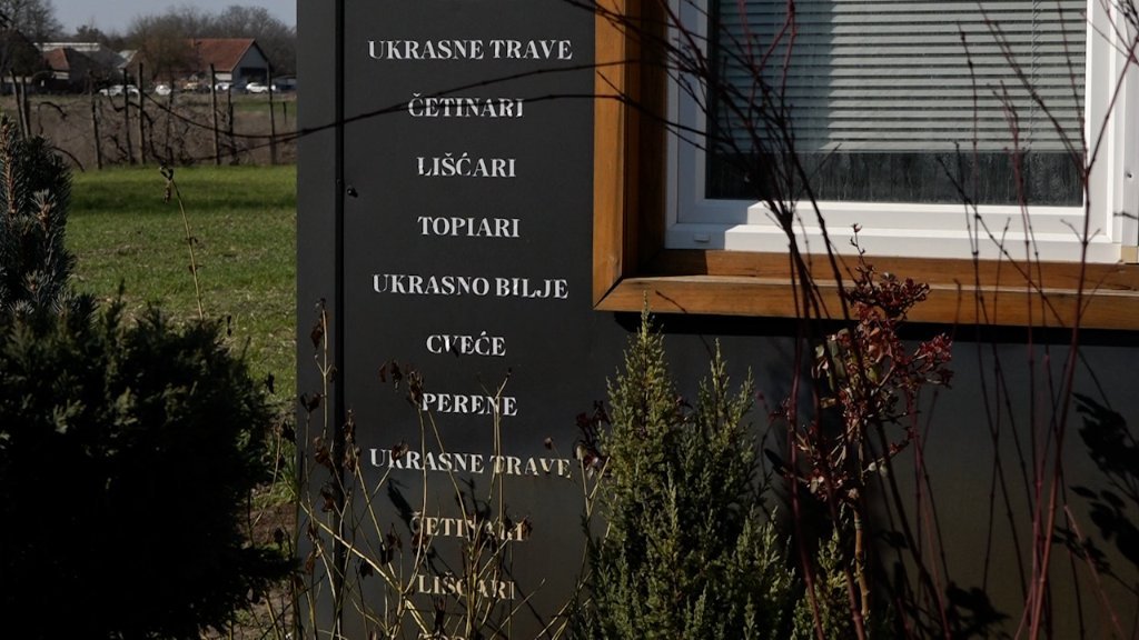 Da li postoje „trendovi” kada su sadnice u pitanju?