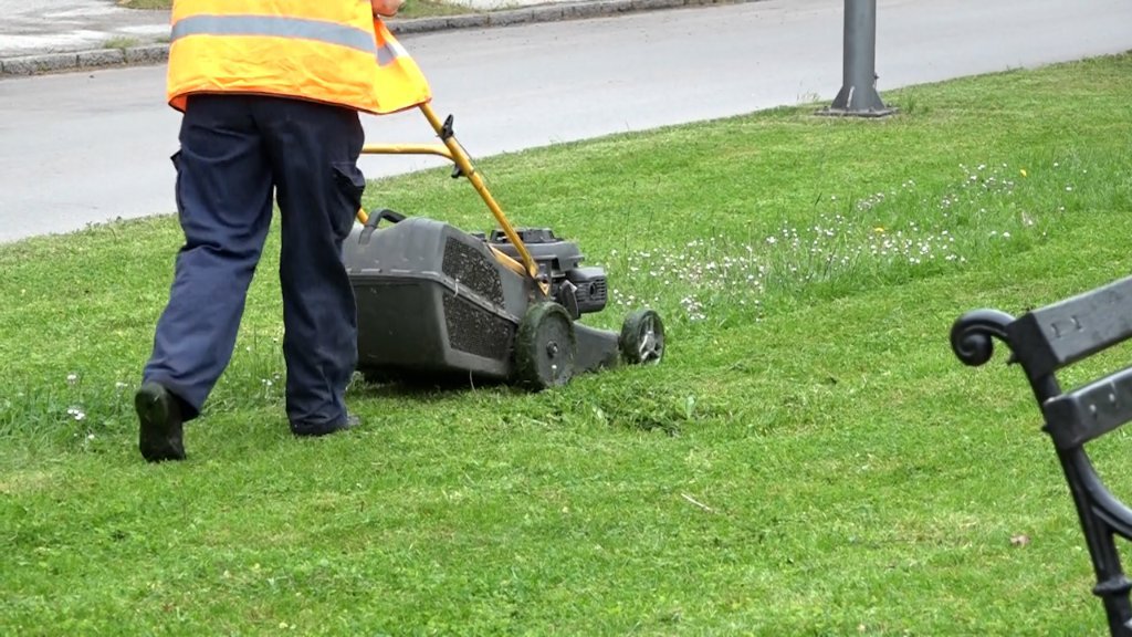 Održavanje javnih zelenih površina teče po planu