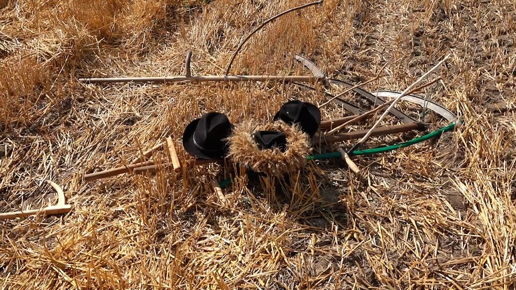 Tradicija koja živi – održan ris na salašu Babičković