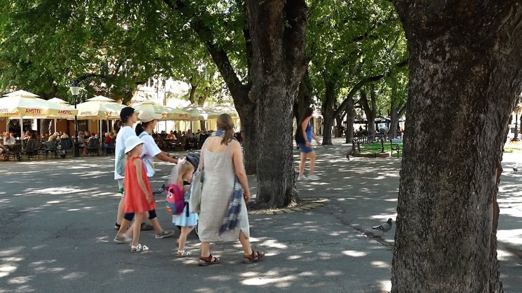 Bez toplomera ne krećite na put sa decom!