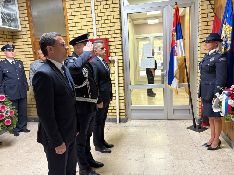 1780320498756_6wehgzeiz_venci p m.jpg
