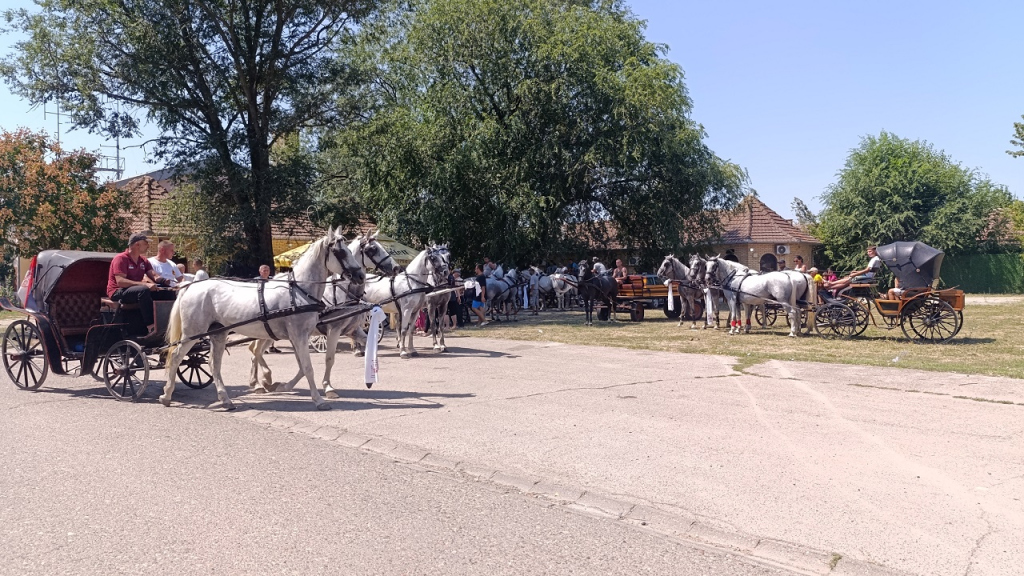 1785673854862_2sw4jdw1m_ВОЖЊА ФИЈАКЕРИМА НА ПРАЗНИК СВЕТОГ ИЛИЈЕ.jpg