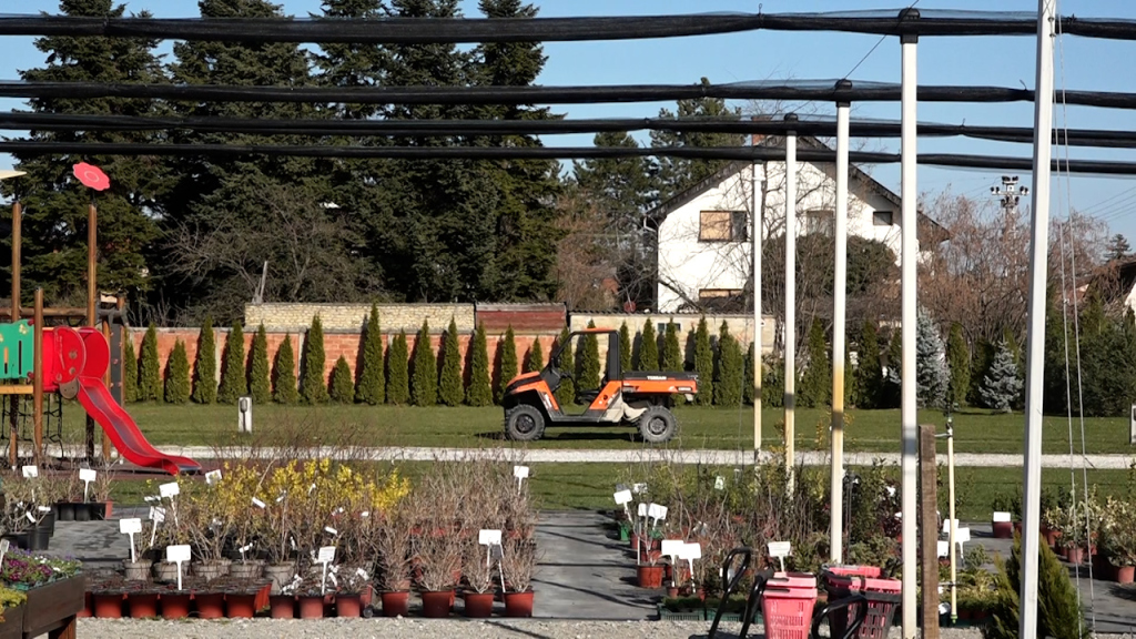 1773822262304_0t83i3lz9_rasadnik 17mart 02.jpg