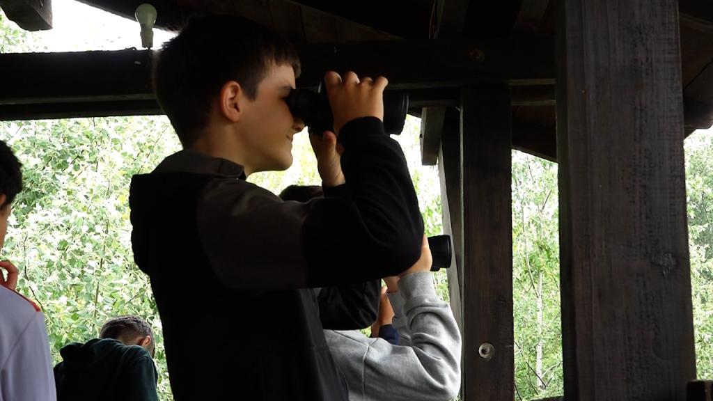 1780573896194_hxqy4cd87_zoo 04jun 05.jpg