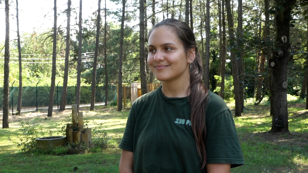 1784284752593_8dv837rud_zoo 17jul 01.jpg